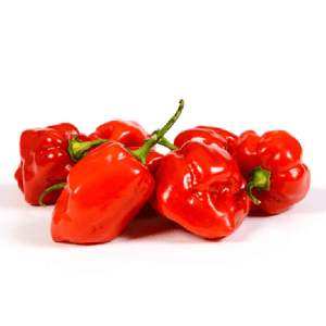 Fresh Habanero Peppers Pack